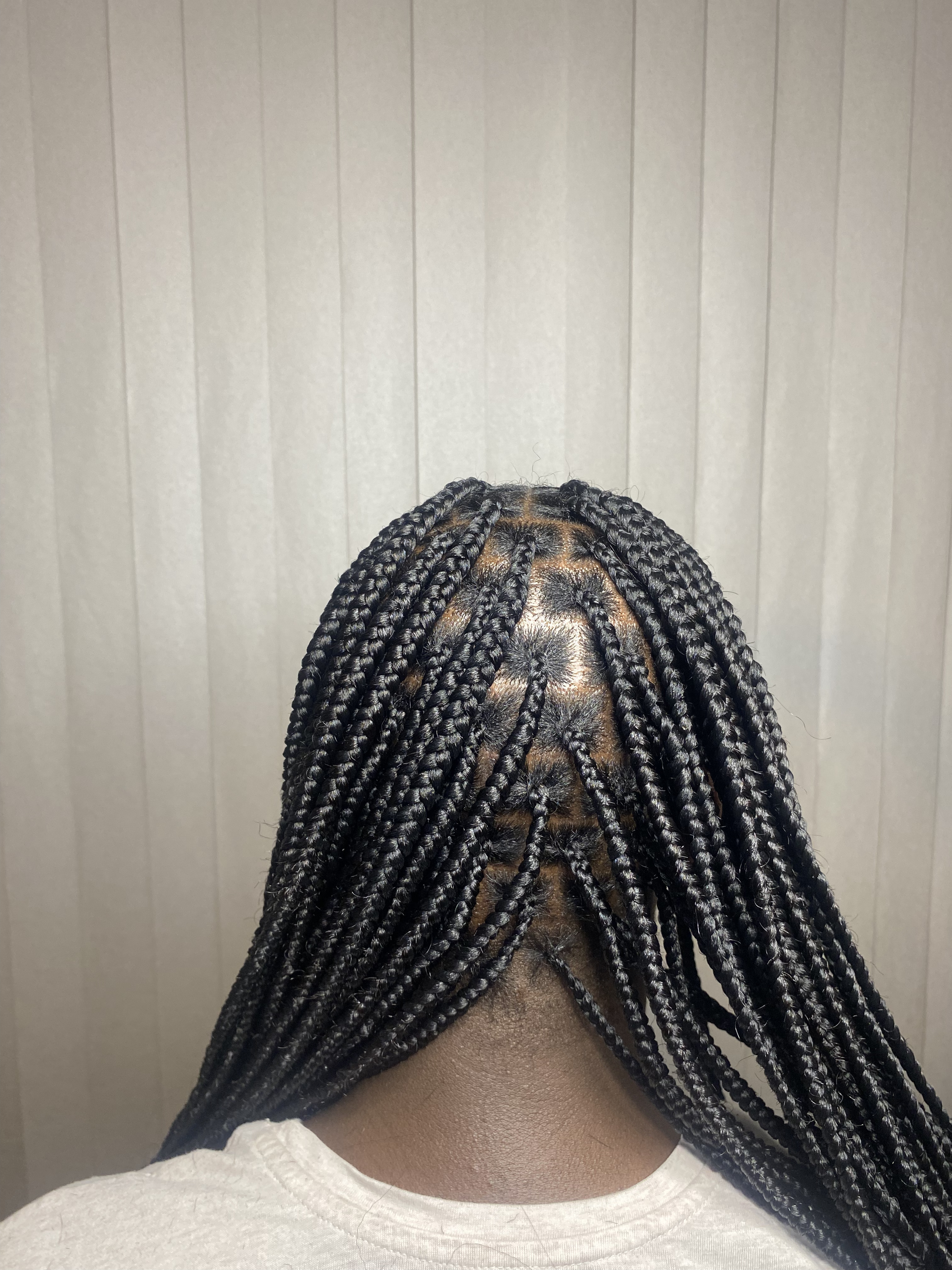 Knotless Braids 6